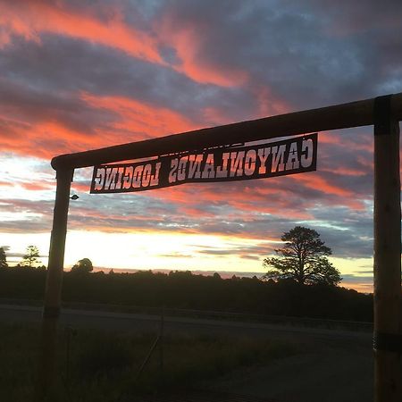 Bluebell Cabin, Glamour Cabin Camping, Stunning Night Sky Monticello Luaran gambar